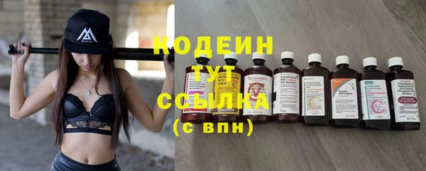 прущие грибы Михайловск
