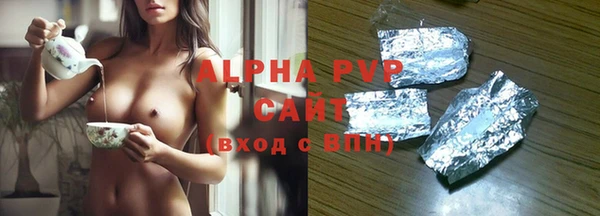 прущие грибы Михайлов